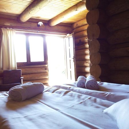 Sîmbăta de Sus Casa Muntelui - Sambata 게스트하우스 외부 사진