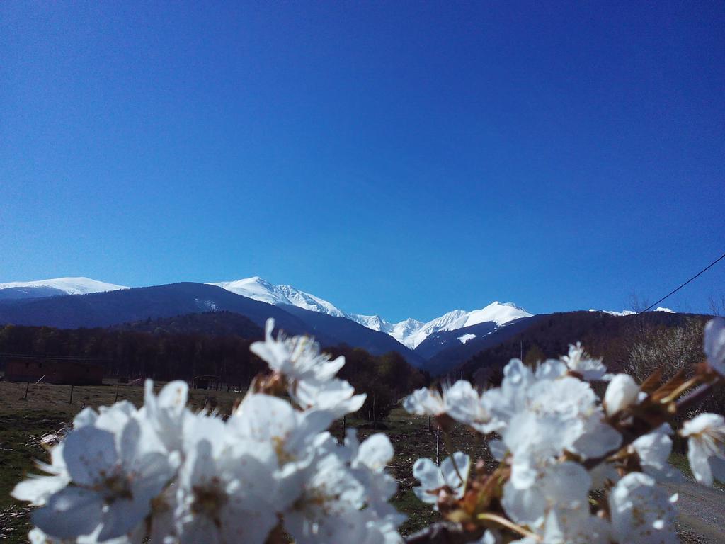 Sîmbăta de Sus Casa Muntelui - Sambata 게스트하우스 외부 사진