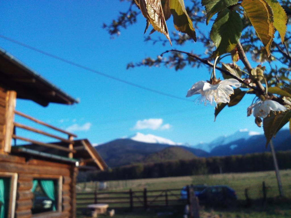 Sîmbăta de Sus Casa Muntelui - Sambata 게스트하우스 외부 사진