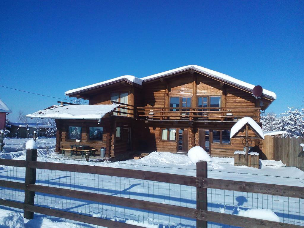 Sîmbăta de Sus Casa Muntelui - Sambata 게스트하우스 외부 사진